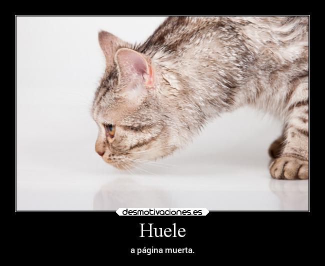 Huele -
