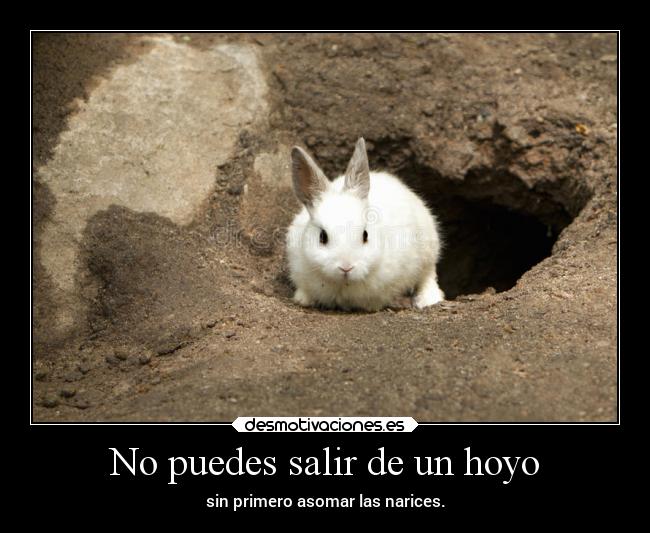 No puedes salir de un hoyo - sin primero asomar las narices.