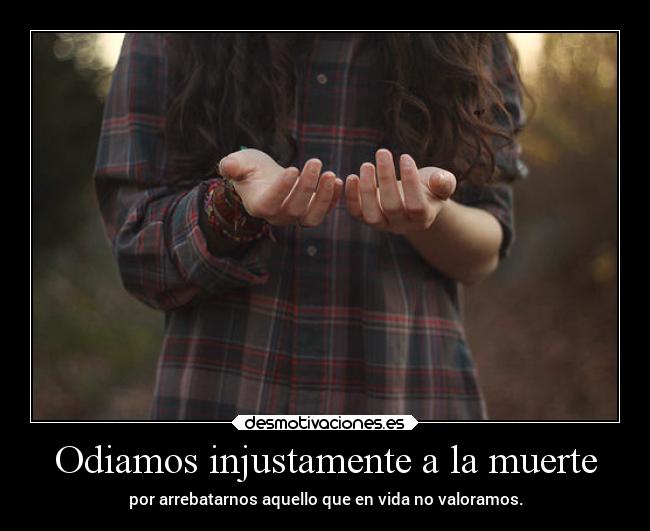 Odiamos injustamente a la muerte - por arrebatarnos aquello que en vida no valoramos.