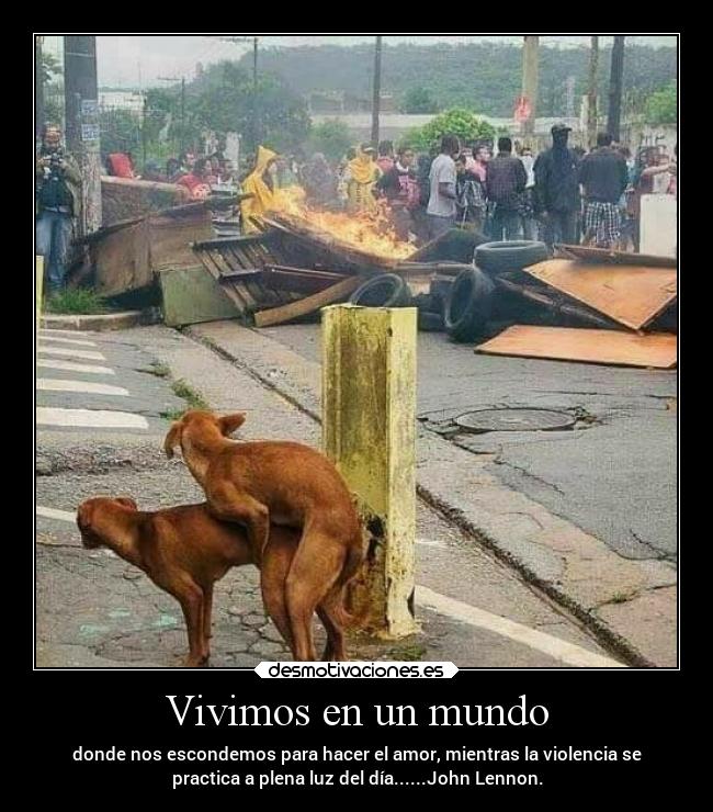 Vivimos en un mundo -