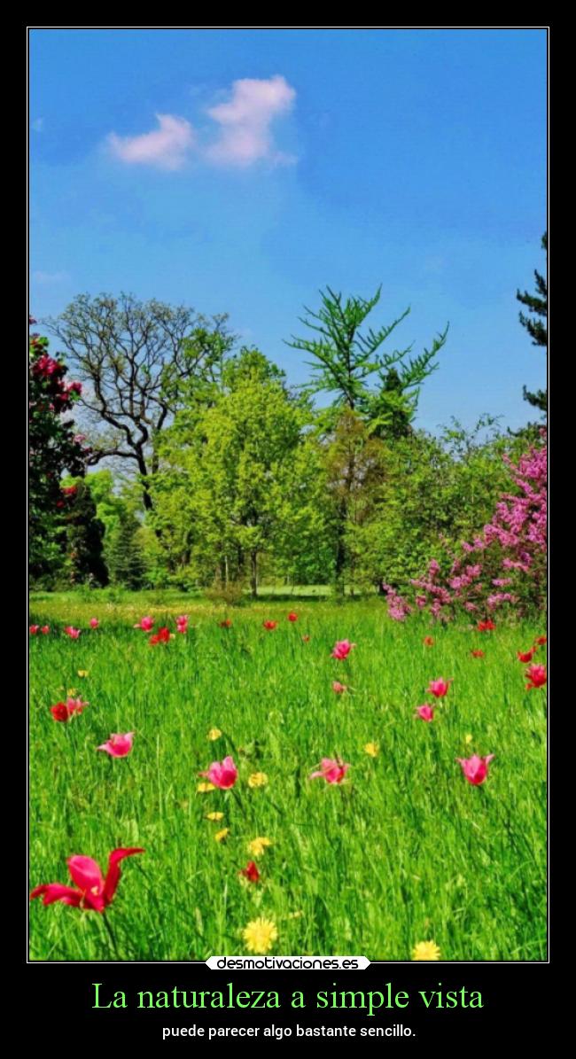 La naturaleza a simple vista - 