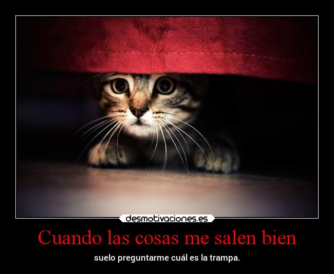 Cuando las cosas me salen bien - suelo preguntarme cuál es la trampa.