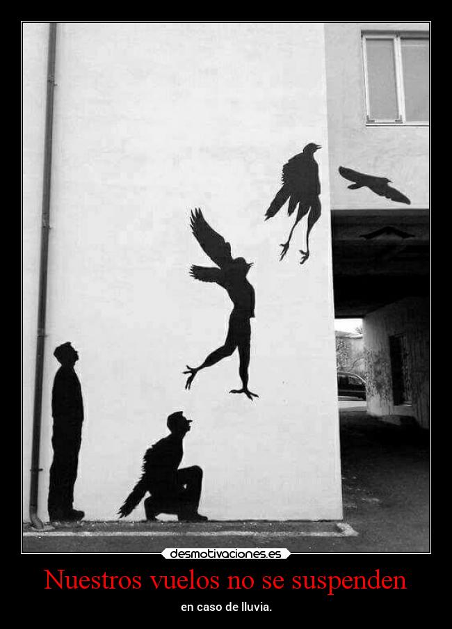 Nuestros vuelos no se suspenden - en caso de lluvia.