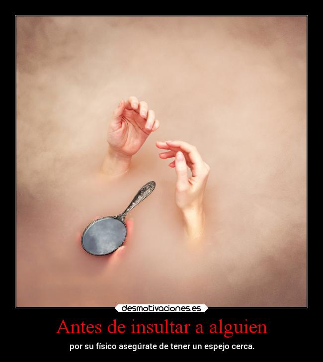 Antes de insultar a alguien - por su físico asegúrate de tener un espejo cerca.