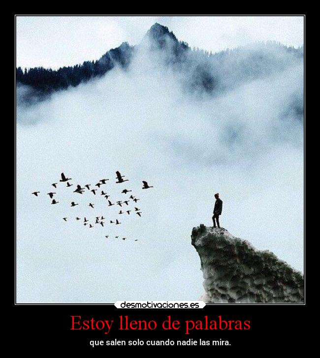 Estoy lleno de palabras - que salen solo cuando nadie las mira.