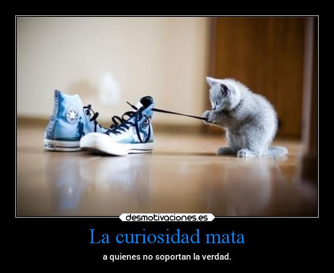 La curiosidad mata - a quienes no soportan la verdad.