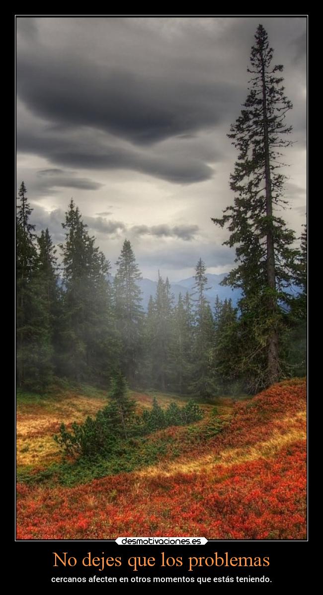 carteles problemas desmotivaciones chopper igbt springcreatorsupdate bosques desmotivaciones