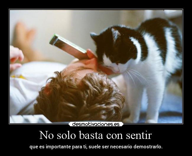 No solo basta con sentir - 