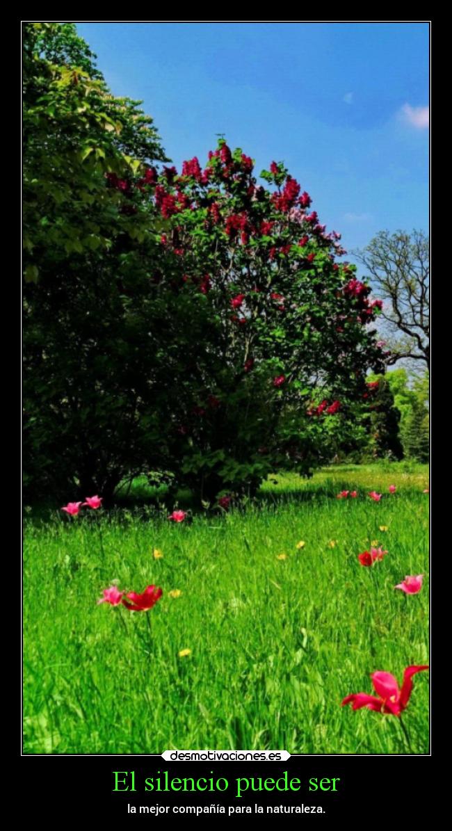 El silencio puede ser - 