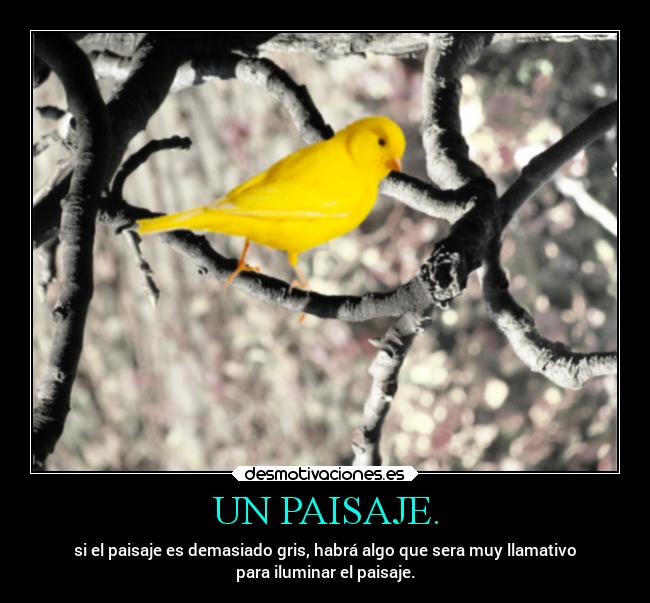 UN PAISAJE. - si el paisaje es demasiado gris, habrá algo que sera muy llamativo
para iluminar el paisaje.