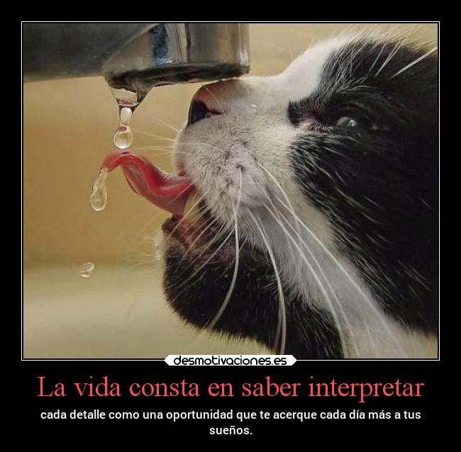 La vida consta en saber interpretar -