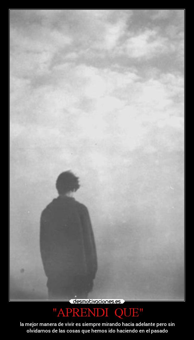 carteles vida anime locosdeamor mdsm laalianzarebelde desmotivaciones