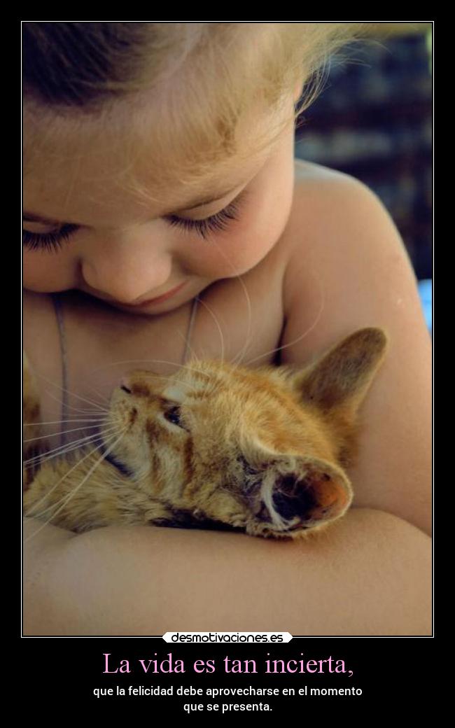 La vida es tan incierta, - que la felicidad debe aprovecharse en el momento
que se presenta.