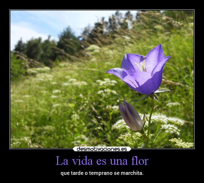 La vida es una flor - 