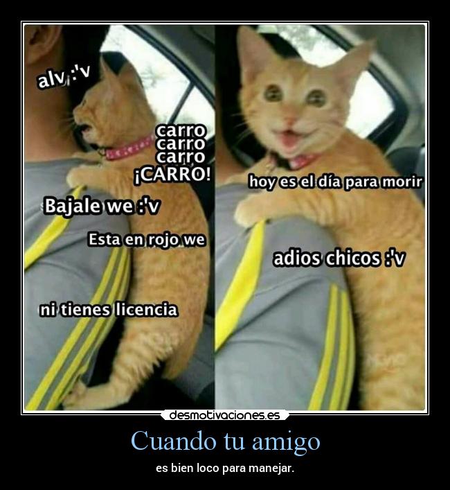 Cuando tu amigo - es bien loco para manejar.