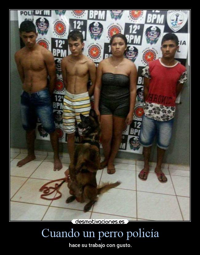 Cuando un perro policía - 