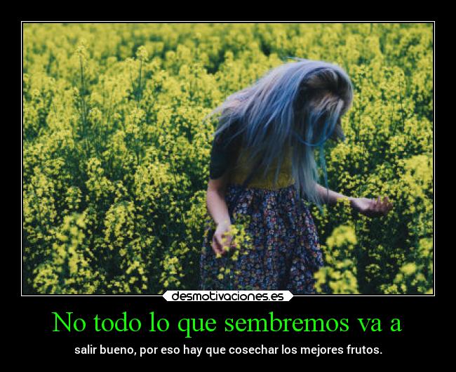 carteles vida minimilhouse venezuela desmotivaciones