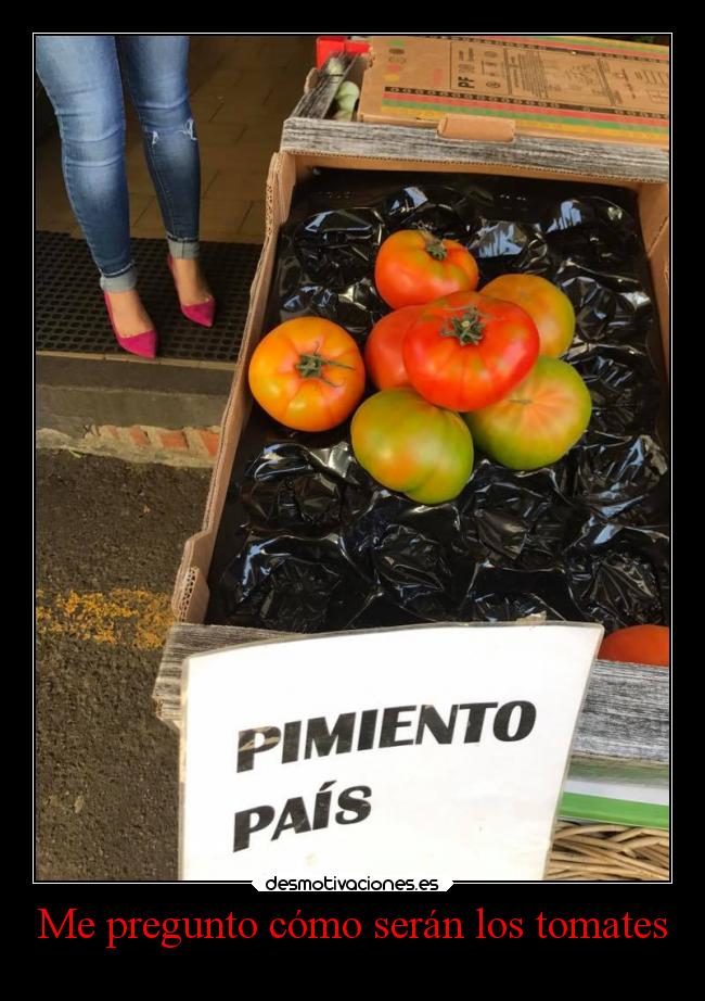 carteles vida superclan lossupervivientes soyunidiotatm desmofunny desmotivaciones