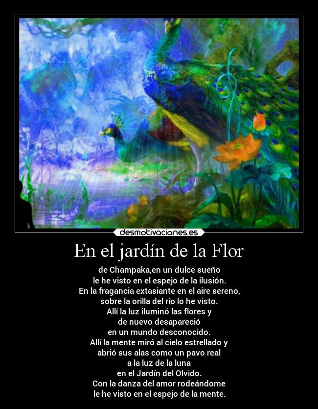 En el jardín de la Flor - de Champaka,en un dulce sueño
le he visto en el espejo de la ilusión.
En la fragancia extasiante en el aire sereno,
sobre la orilla del río lo he visto.
Allí la luz iluminó las flores y
de nuevo desapareció
en un mundo desconocido.
Allí la mente miró al cielo estrellado y
abrió sus alas como un pavo real
a la luz de la luna
en el Jardín del Olvido.
Con la danza del amor rodeándome
le he visto en el espejo de la mente.