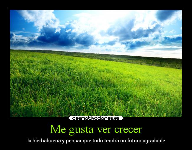 Me gusta ver crecer -