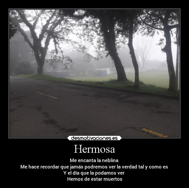 Hermosa - Me encanta la neblina 
Me hace recordar que jamás podremos ver la verdad tal y como es 
Y el día que la podamos ver 
Hemos de estar muertos