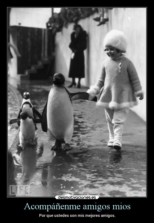 Acompáñenme amigos mios - Por que ustedes son mis mejores amigos.
