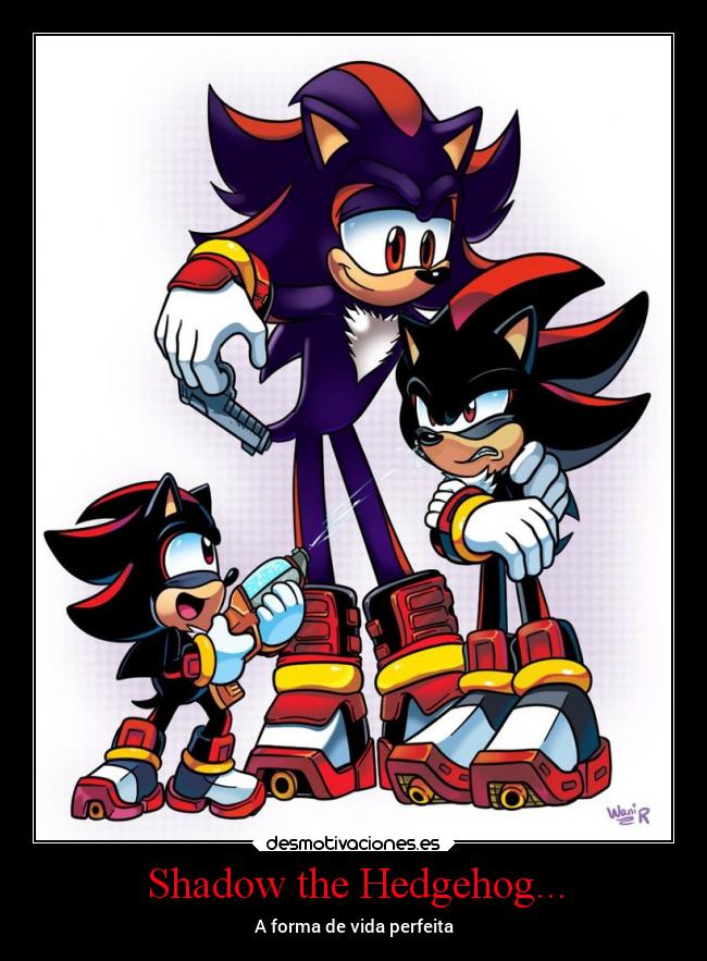 shadow the hedgehog desmotivaciones