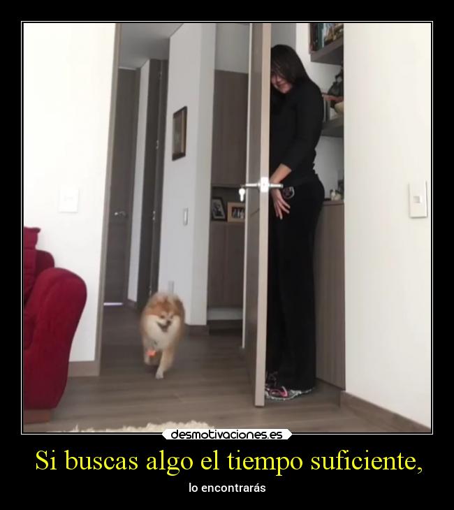 Si buscas algo el tiempo suficiente, - 