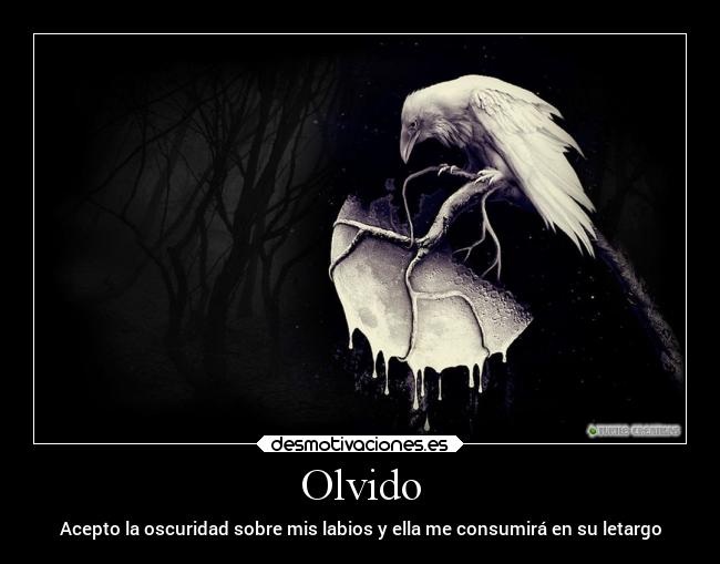 Olvido - 