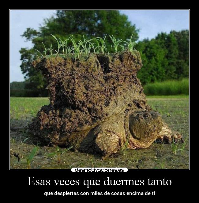 Esas veces que duermes tanto -