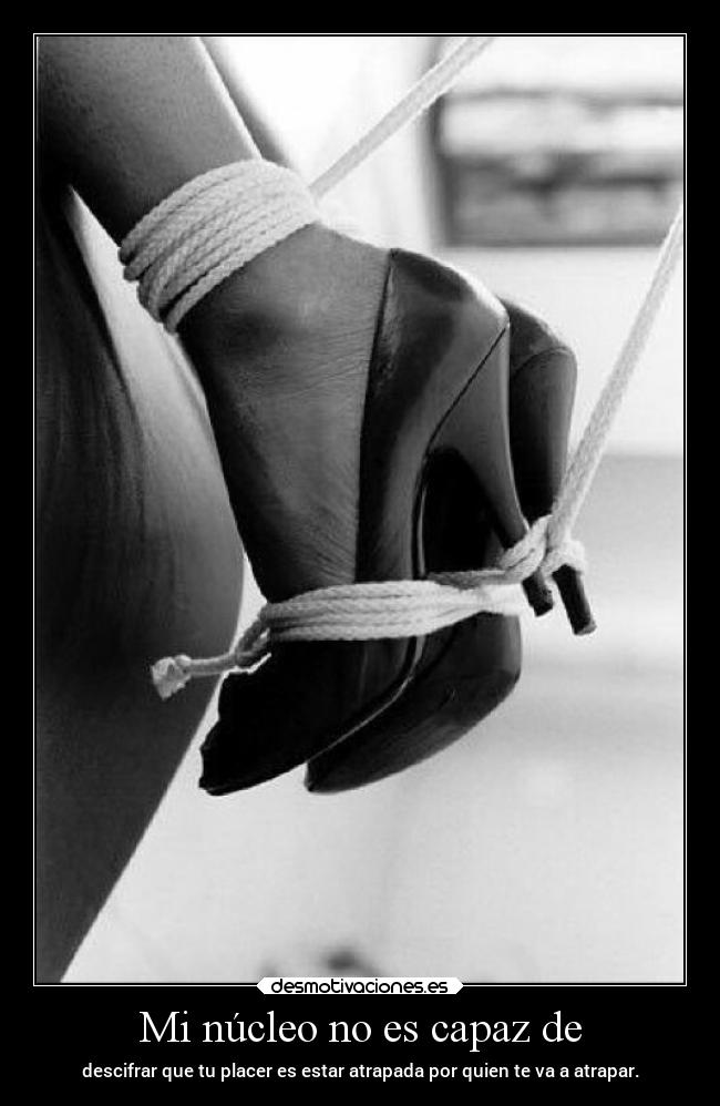 Mi núcleo no es capaz de -