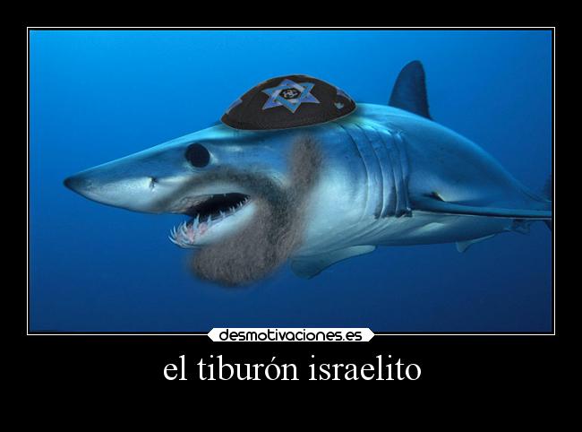 el tiburón israelito - 