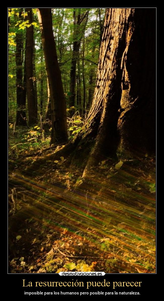 La resurrección puede parecer - 