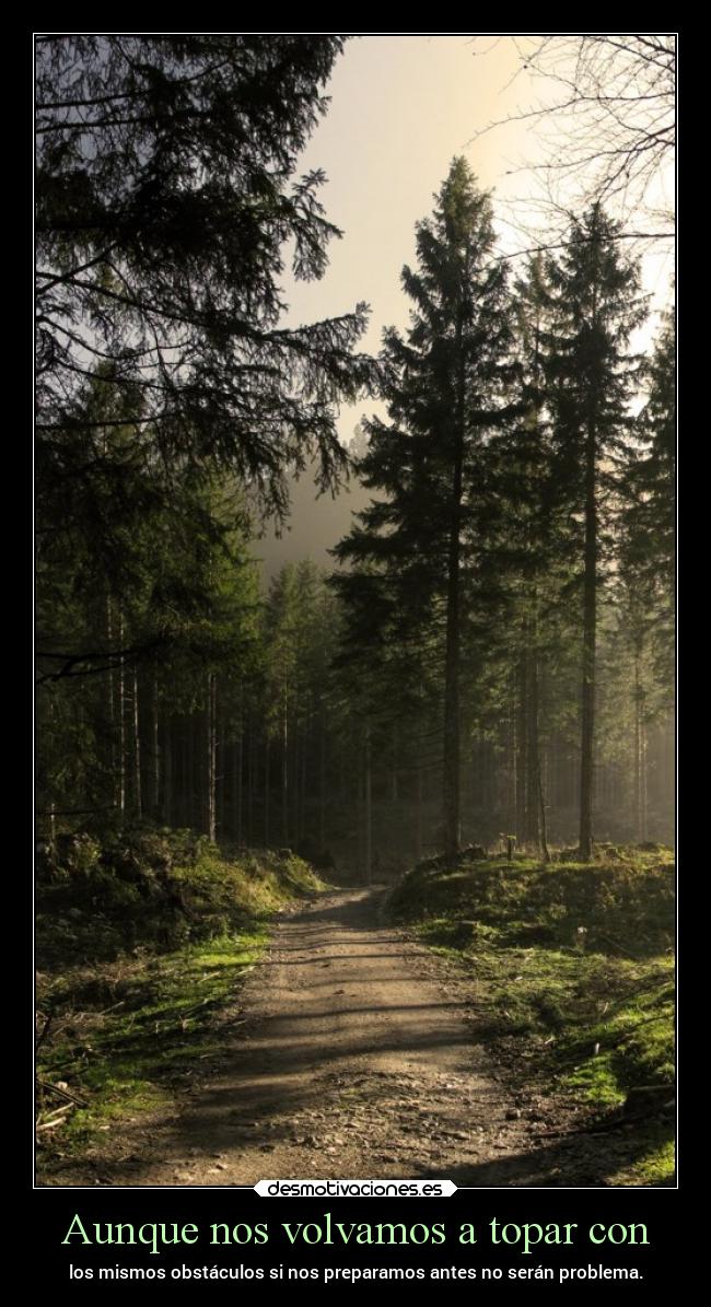 carteles desmotivaciones chopper igbt springcreatorsupdate bosques desmotivaciones