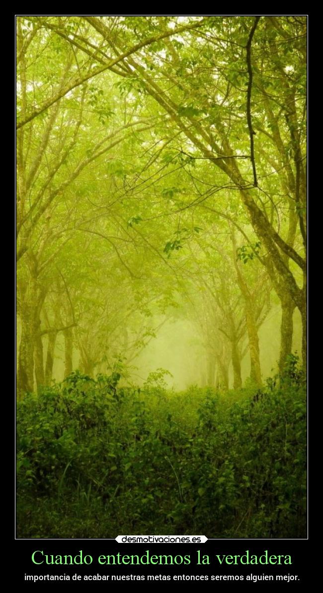 carteles desmotivaciones chopper igbt springcreatorsupdate bosques desmotivaciones