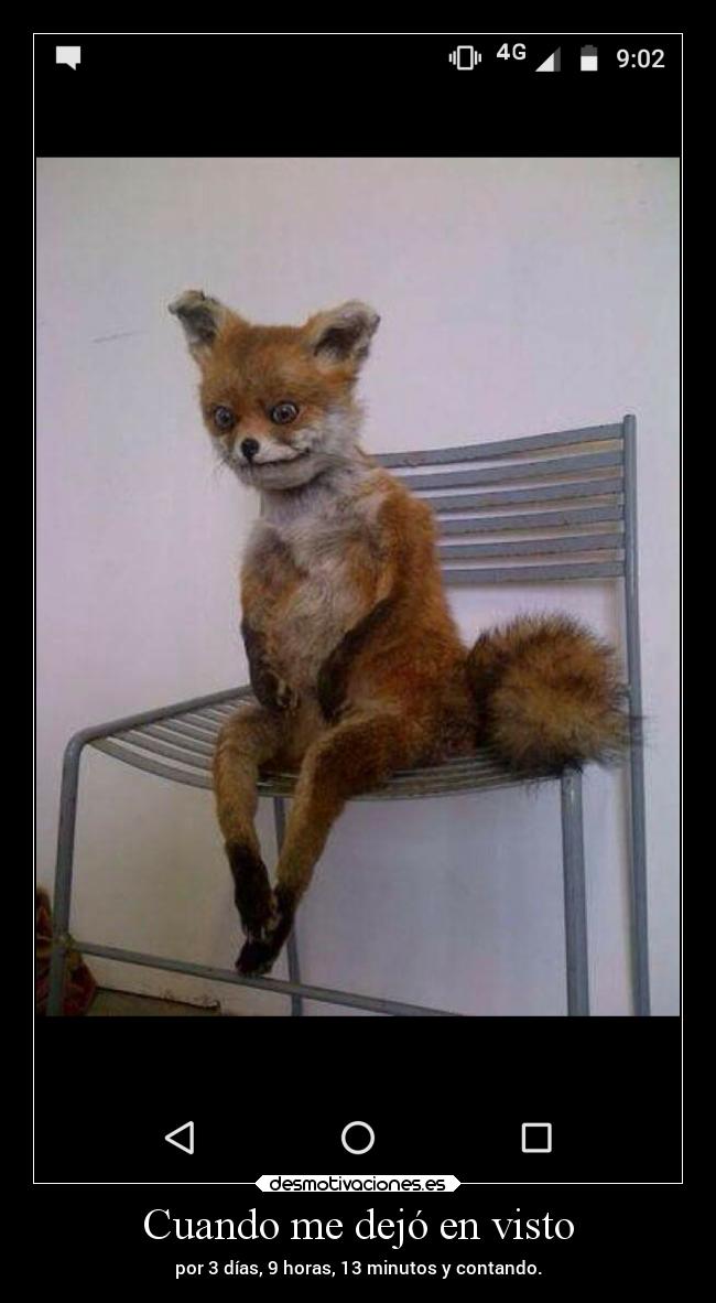 Cuando me dejó en visto - por 3 días, 9 horas, 13 minutos y contando.