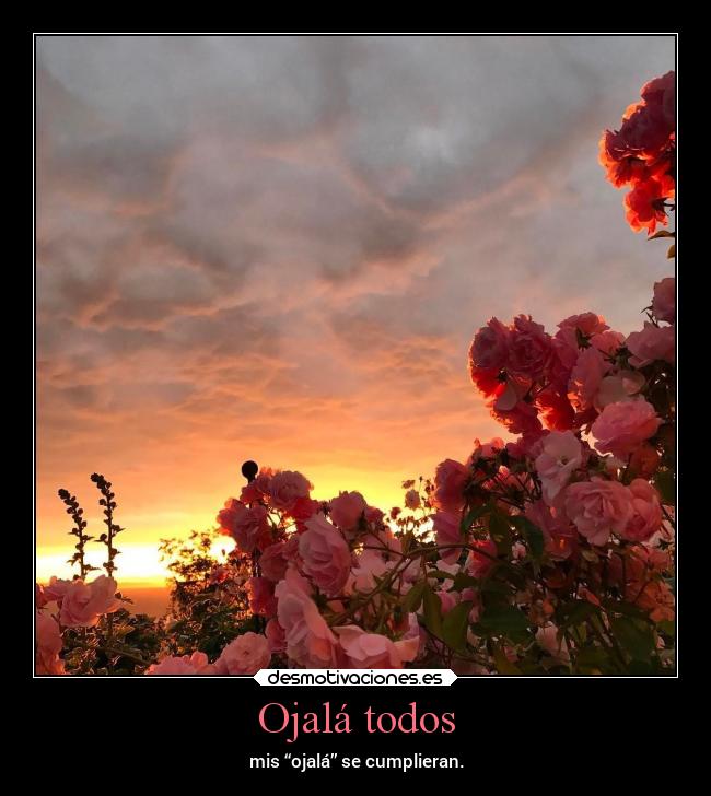 Ojalá todos -