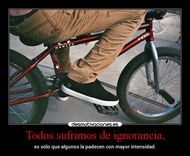 Todos sufrimos de ignorancia, -