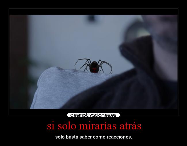 si solo mirarías atrás - solo basta saber como reacciones.