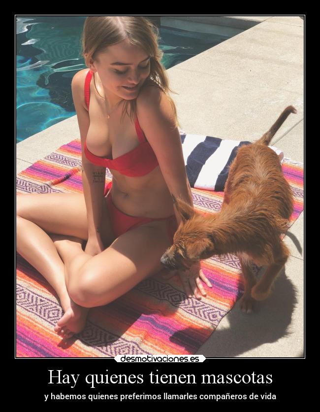 Hay quienes tienen mascotas - y habemos quienes preferimos llamarles compañeros de vida