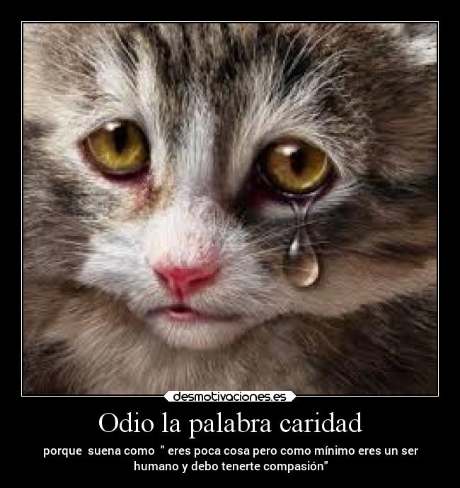 Odio la palabra caridad - porque suena como eres poca cosa pero como mínimo eres un ser
humano y debo tenerte compasión