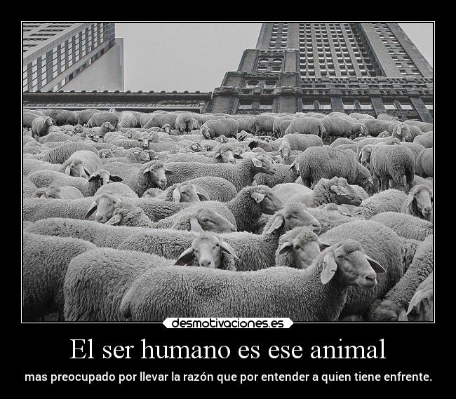 El ser humano es ese animal -