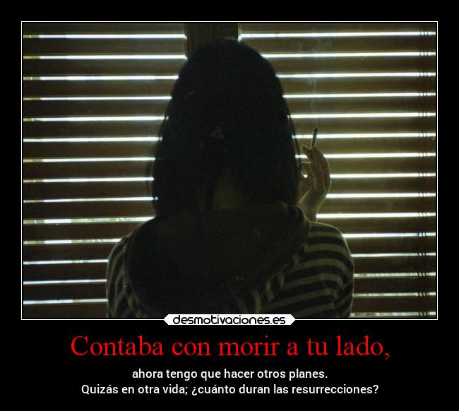 Contaba con morir a tu lado, - ahora tengo que hacer otros planes.
Quizás en otra vida; ¿cuánto duran las resurrecciones?
