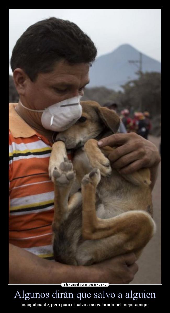 carteles vida desmotivaciones guatemala numhub99 cartel serio desmotivaciones