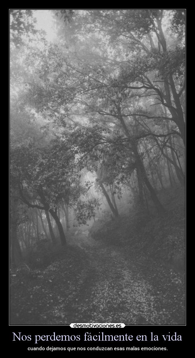 carteles vida desmotivaciones chopper igbt springcreatorsupdate bosques desmotivaciones