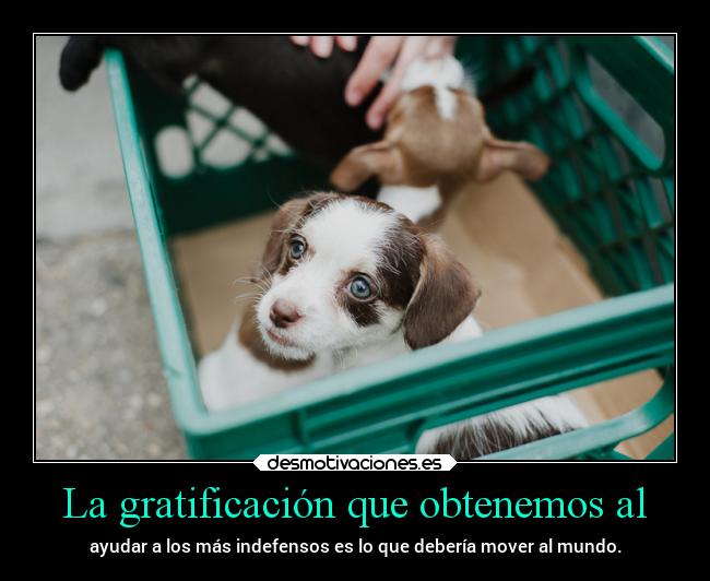 La gratificación que obtenemos al -