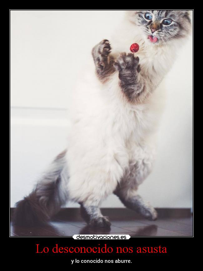 Lo desconocido nos asusta - y lo conocido nos aburre.