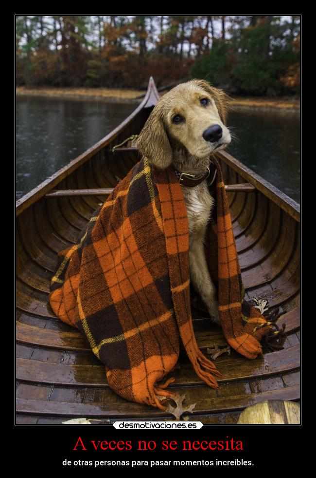 A veces no se necesita - de otras personas para pasar momentos increíbles.