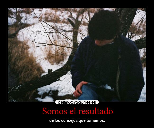 Somos el resultado - de los consejos que tomamos.