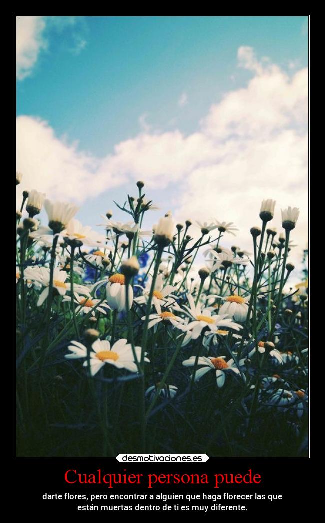 Cualquier persona puede - darte flores, pero encontrar a alguien que haga florecer las que
están muertas dentro de ti es muy diferente.
